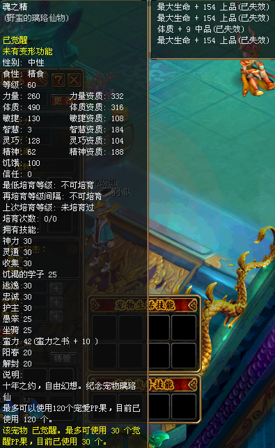 第三张