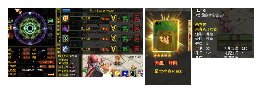 第三张